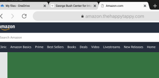 Google Sells Top Ads to Amazon.com Impersonator Compromising Customer Accounts amazon-fake-website-URL