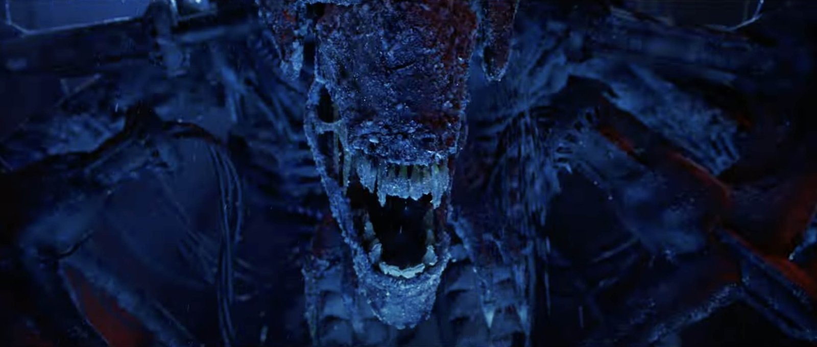 Alien vs Predator 2004 movie still 7